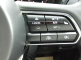 ステアリングスイッチで、先行車に自動追従するアダプティブクルーズコントロールが作動可能。設定した車速内での車間距離を自動で調整・維持。高速道路の渋滞時もアクセル・ブレーキ操作から解放されます。