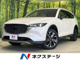 純正10.25型ナビ 360度ビュー スマートブレーキサポート フルセグ