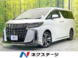フルエアロ 両側電動ドア 後席モニター バックカメラ