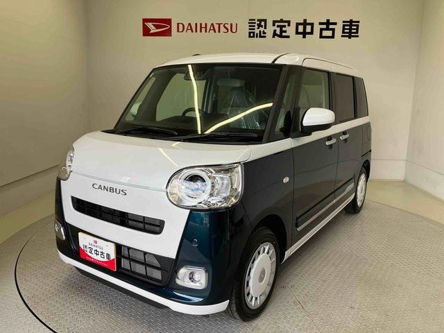 ムーヴキャンバス  ストライプス G