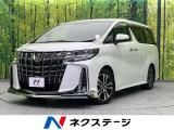 サンルーフ モデリスタエアロ BIG-X11インチ バックカメラ 衝