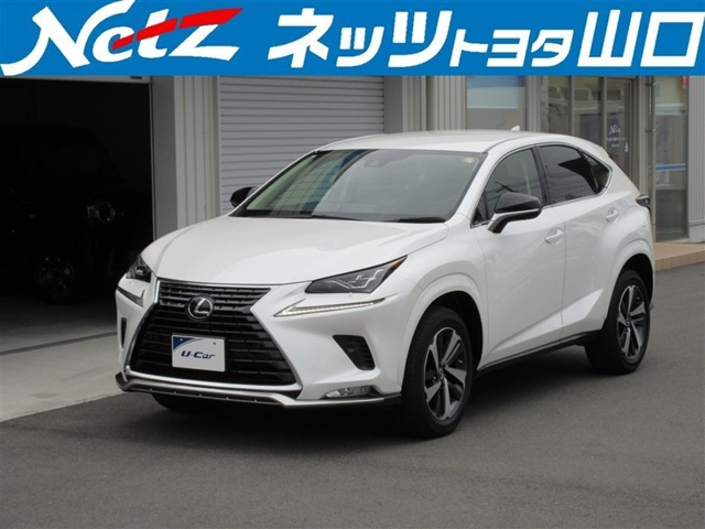 NX 300 スパイス&シック 4WD