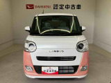 ムーヴキャンバス  ストライプス G