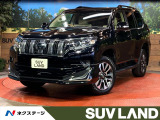 メーカー9型ナビ マルチテレインモニター 7人乗り ベージュ内装 禁煙車