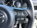 レーダークルーズコントロールを装備。アクセルやブレーキを操作しなくても、自動で先行車との車間距離を保ち追従走行できます。長距離や高速道路を運転する際に、ドライバーへの負担を軽減します。