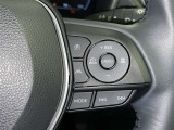 クルーズコントロール機能が付いています。 速度を設定するとアクセルを踏まなくても一定の速度で走ることができます。  高速道路ではとても便利な装置なんです。