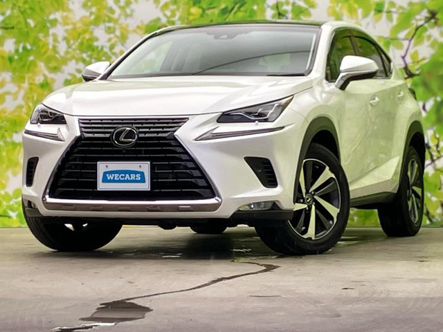NX 300 Iパッケージ 4WD 