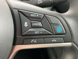 単一斜車自動走行プロパイロッドです。これで遠出もラクラクドライブ♪優秀な副操縦士です。