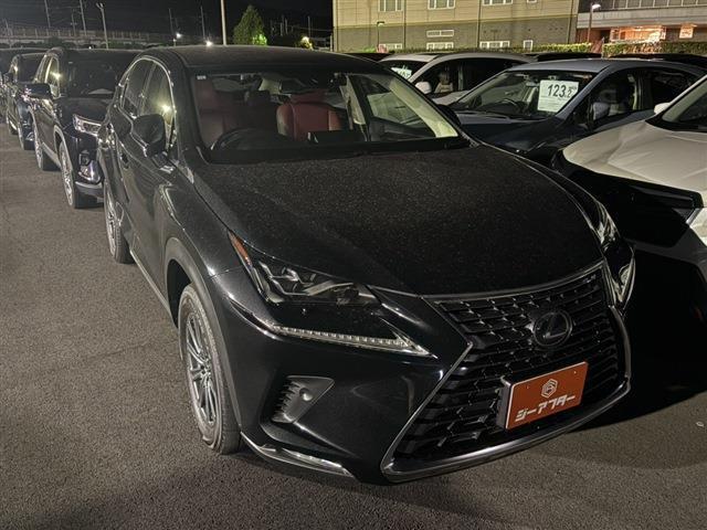 NX 300h Iパッケージ 禁煙車 純正10.3インチナビ フルセグ