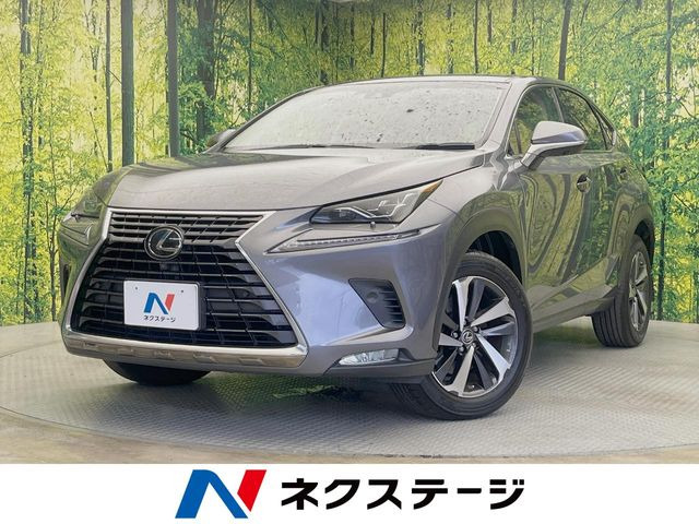 NX 200t Iパッケージ