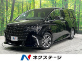 純正14型ナビ 両側電動スライド 13.2型後席モニター 全周囲カメラ