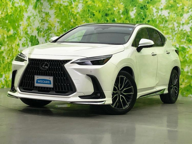 NX 350h バージョンL 