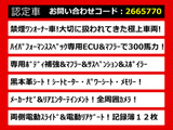 エルグランド 3.5 ライダー ハイパフォーマンススペック ブラックライン 