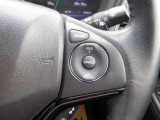 クルーズコントロール(Cruise Control)付き、アクセル操作なしでも車が自動でスピードを一定に保ってくれる機能