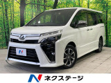 BIGX10インチナビ 両側電動ドア 後席モニター バックカメラ