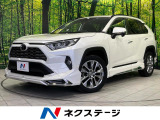 モデリスタエアロ 純正ナビ バックカメラ 寒冷地仕様 AC100V電源