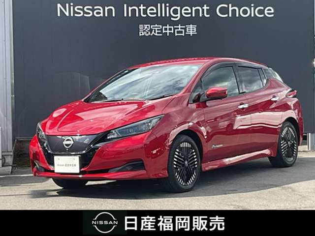 リーフ  X Vセレクション