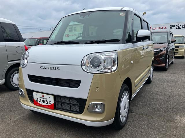 ムーヴキャンバス  ストライプス G