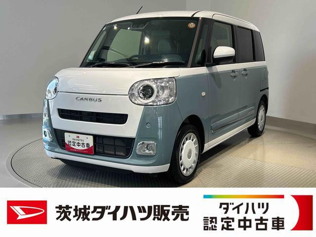 ムーヴキャンバス  ストライプス G