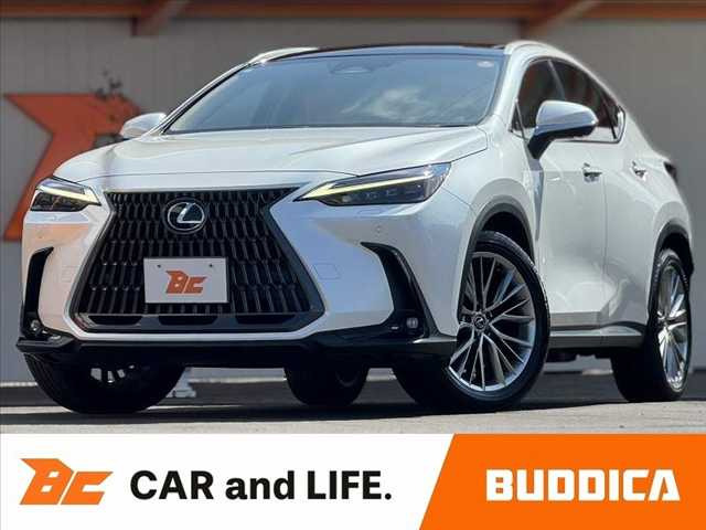 NX 250 バージョンL NX 250 バージョンL