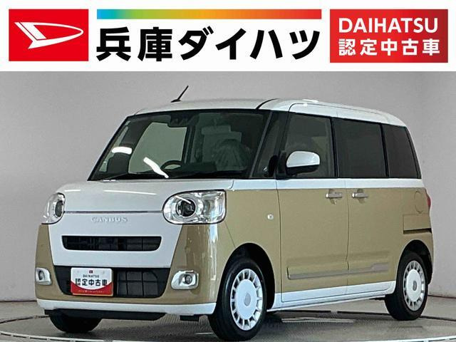 ムーヴキャンバス  ストライプス G