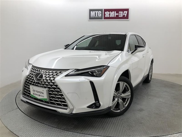 UX 250h グレイスフル エクスプローラー 