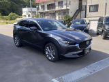 CX-30 2.0 20S プロアクティブ ツーリングセレクション 4WD 
