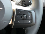 ハンドルから手を離すことなくオーディオの音量調整などが可能です!