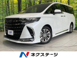 14型純正ナビ 両側電動ドア 後席モニター 全周囲カメラ