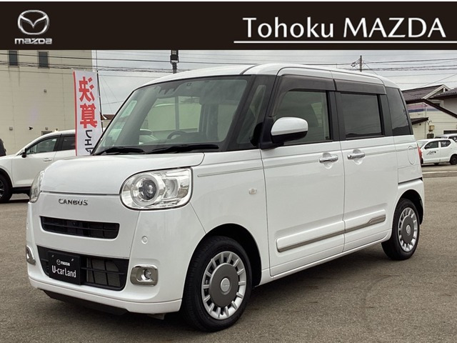 ムーヴキャンバス  ストライプス G
