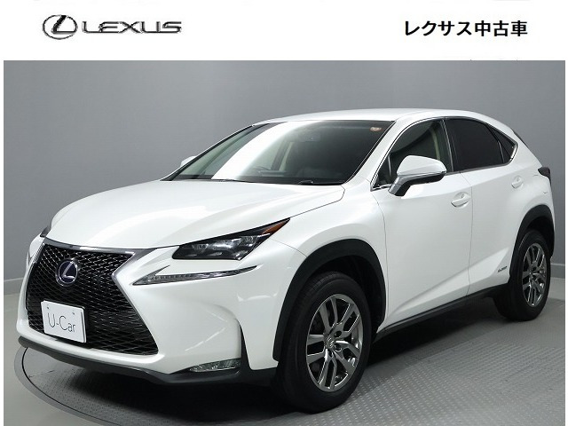 NX 300h Iパッケージ