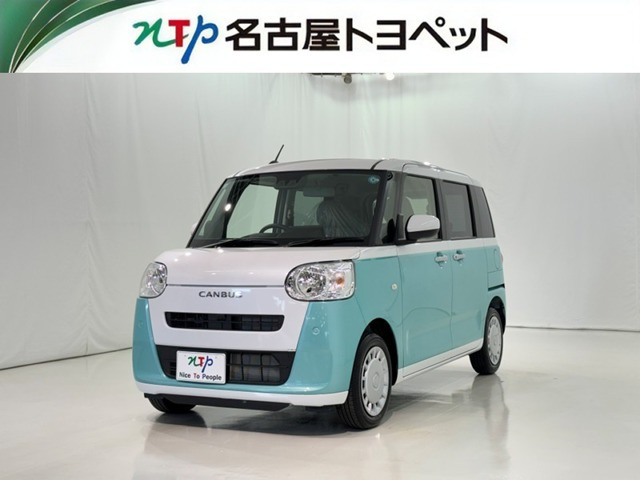 ムーヴキャンバス  ストライプス X
