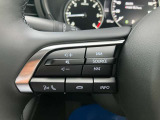 オーディオの音量やチャンネル操作ができるスイッチが、ハンドルに付いています。運転中でも、操作が行えて非常に安全・便利です!