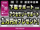 ジュニア エレットリカ プレミアム 