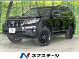 後期型 7人乗り BIG-X9型SDナビ サンルーフ バックカメラ
