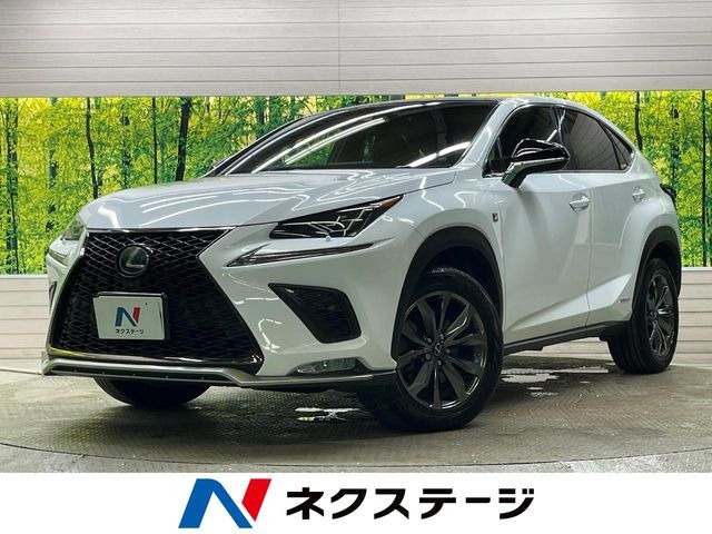 NX 300h Fスポーツ 