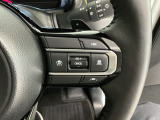 高速道路もラクラク走行!アクセルを離しても一定速度で走行ができ、長距離運転の負担を軽減!加速・減速も簡単なスイッチ操作で調整できます♪