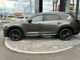 左側面の眺め