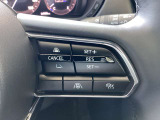 ステアリングスイッチで、先行車に自動追従するアダプティブクルーズコントロールが作動可能。設定した車速内での車間距離を自動で調整・維持。高速道路の渋滞時もアクセル・ブレーキ操作から解放されます。
