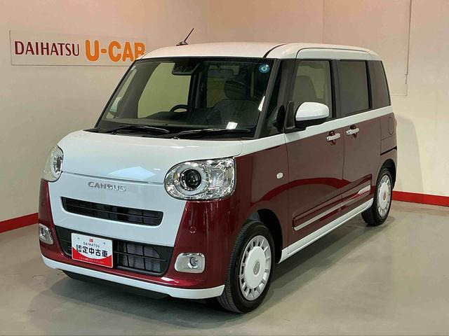 ムーヴキャンバス  ストライプス G