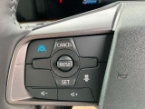 プロパイロット装備。高速道路航行時での巡行や前方の車との車間保持、減速から停止、発進、加速まで自動でアシストする機能です。
