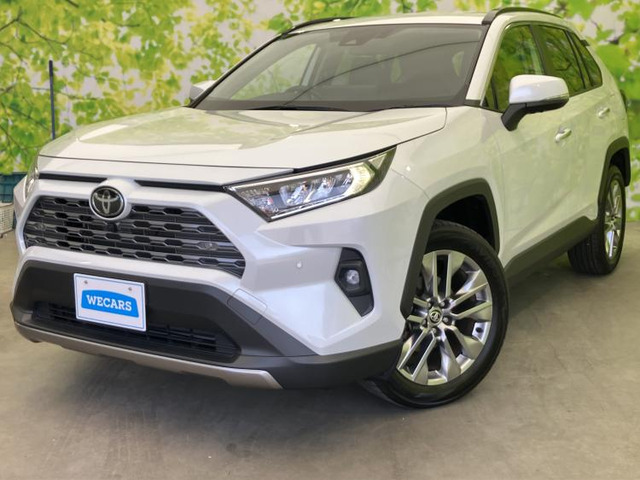 RAV4 2.0 G Zパッケージ 4WD 