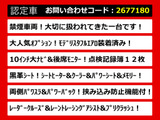 アルファード 2.5 S Cパッケージ モデリスタエアロ 10インチ大ナビ リアモニ