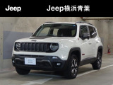 小さな子供からお年寄りまで、誰もが「ジープ」と認識できるこのカタチ。アメリカのアイコンです!