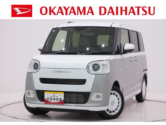 ムーヴキャンバス  ストライプス G