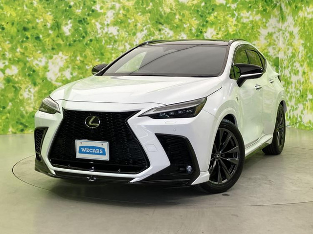 NX 350h Fスポーツ