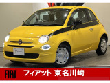 全国300台限定!ミモザ入荷しました!