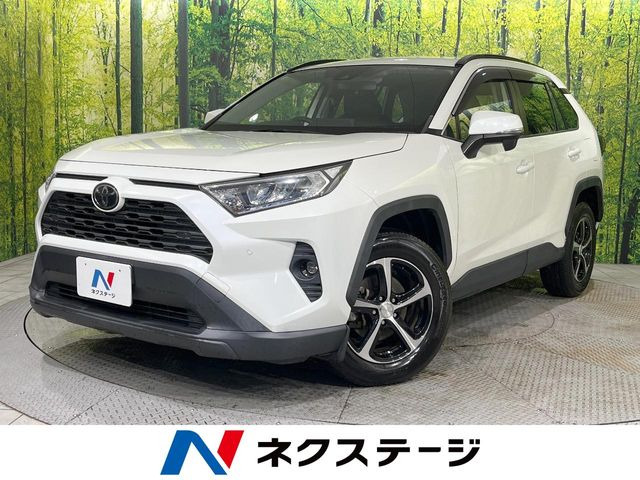 RAV4 2.0 X 