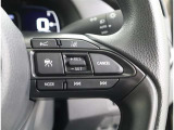 前車との適切な車間距離を保ちながら追従走行やスピードダウンをセンサーで行います。高速道路の長時間ドライブで疲労軽減に貢献します。