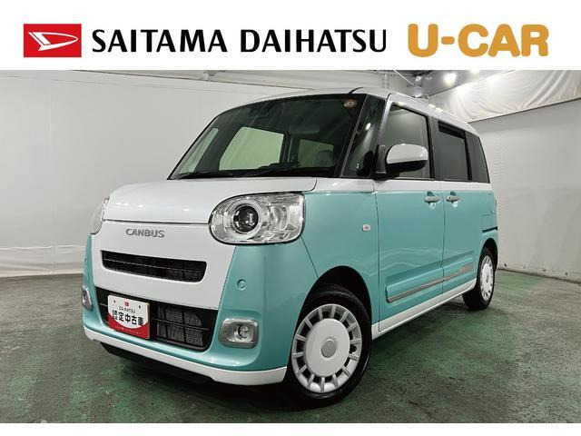 ムーヴキャンバス  ストライプス G